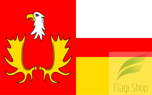 POL_gmina_Izabelin_flag.svg.png