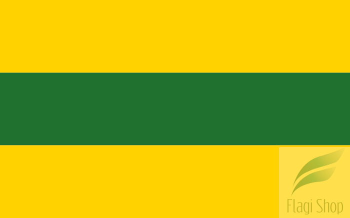 POL_gmina_Dźwierzuty_flag.svg.png