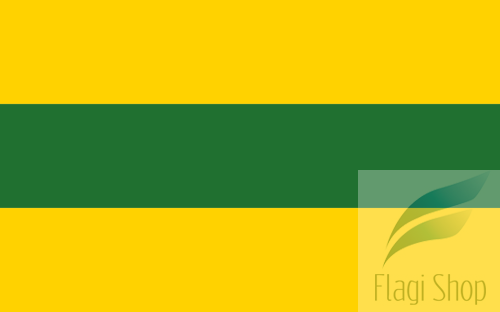 POL_gmina_Dźwierzuty_flag.svg.png
