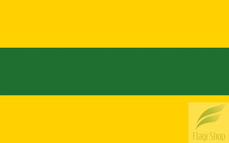 POL_gmina_Dźwierzuty_flag.svg.png