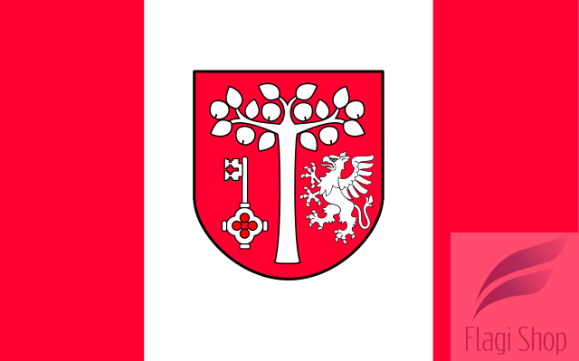POL_gmina_Jodłownik_flag.svg.png