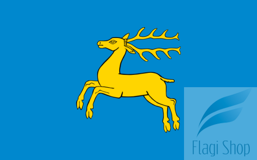 640px-POL_Kozienice_flag.svg.png