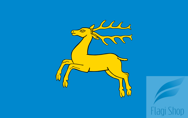 640px-POL_Kozienice_flag.svg.png