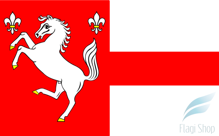 800px-POL_gmina_Łąck_flag.svg.png