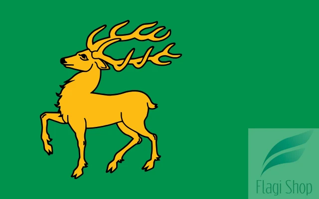 POL_gmina_Drawsko_flag.svg.png