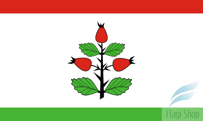 1024px-POL_gmina_Rzgów_(powiat_koniński)_flag.svg.png