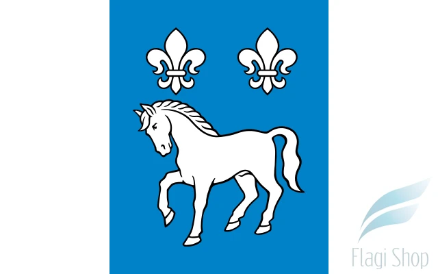POL_gmina_Przykona_flag.svg.png