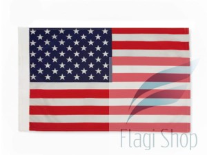 USA motor .jpg