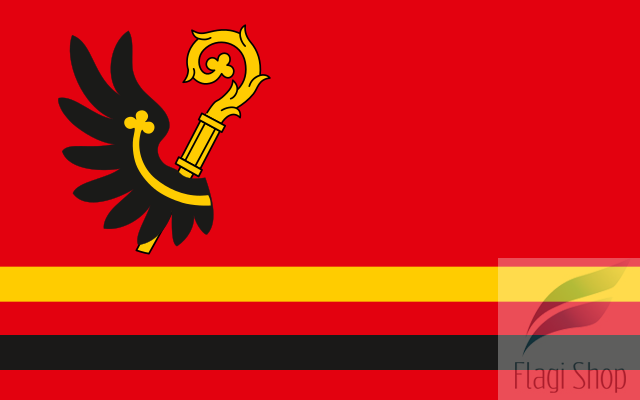 POL_Wąbrzeźno_flag.svg.png