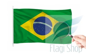 brazylia.jpg