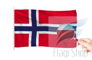 norwegia1.jpg