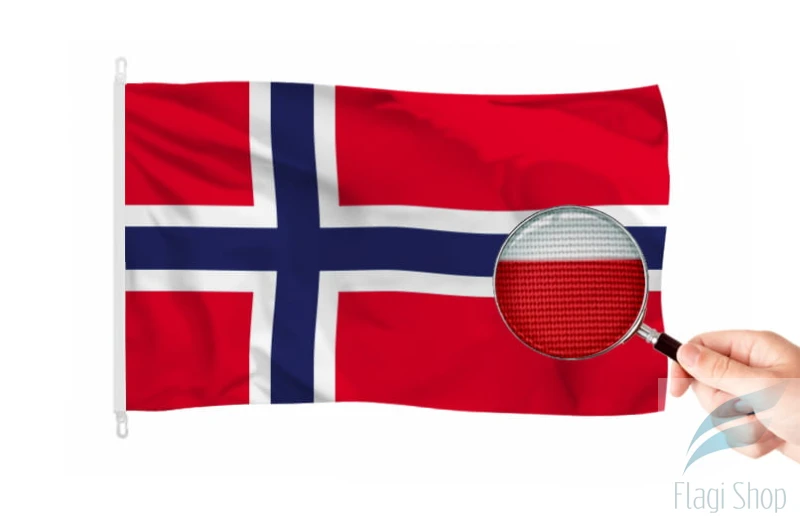 norwegia1.jpg