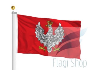 polska 1918 czerwona.jpg