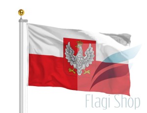 polska 1918.jpg