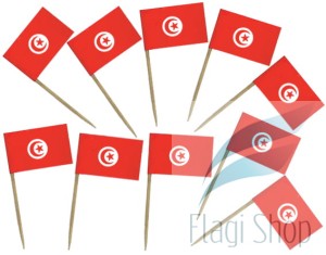 Flaga TUNEZJA Pikery 20 szt Wykałaczki TUNEZJI