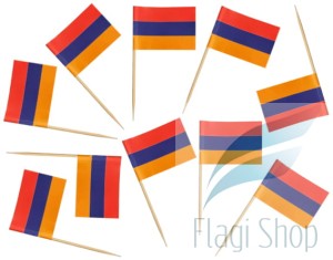 Flaga ARMENIA Pikery 20 szt Wykałaczki Armenii
