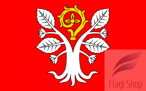 POL_gmina_Radwanice_flag.svg.png