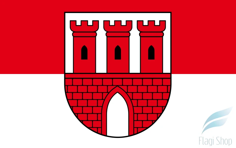 POL_gmina_Gąsawa_flag.svg.png