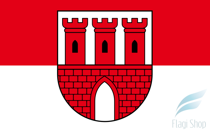 POL_gmina_Gąsawa_flag.svg.png