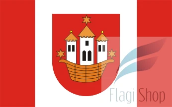 Flag_of_Wąsosz_district.gif