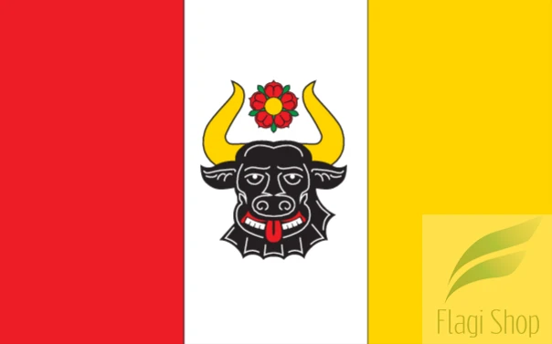 POL_gmina_Zwierzyn_flag.png