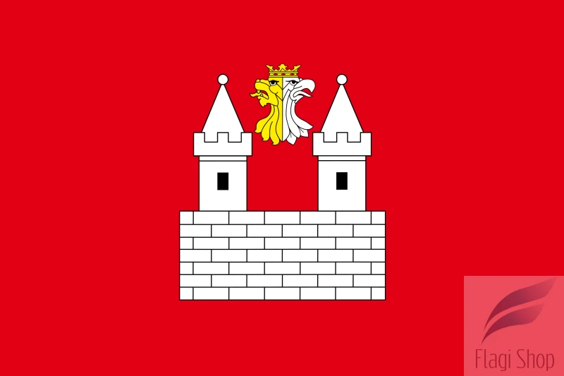 POL_Gniewkowo_flag.svg.png