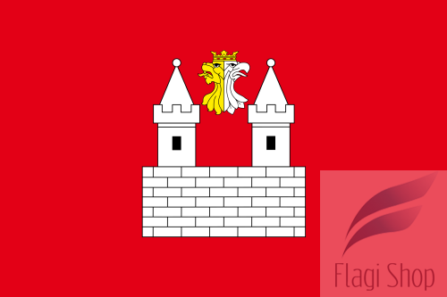 POL_Gniewkowo_flag.svg.png