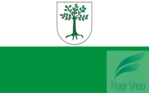 POL_Kruszwica_flag.svg.png