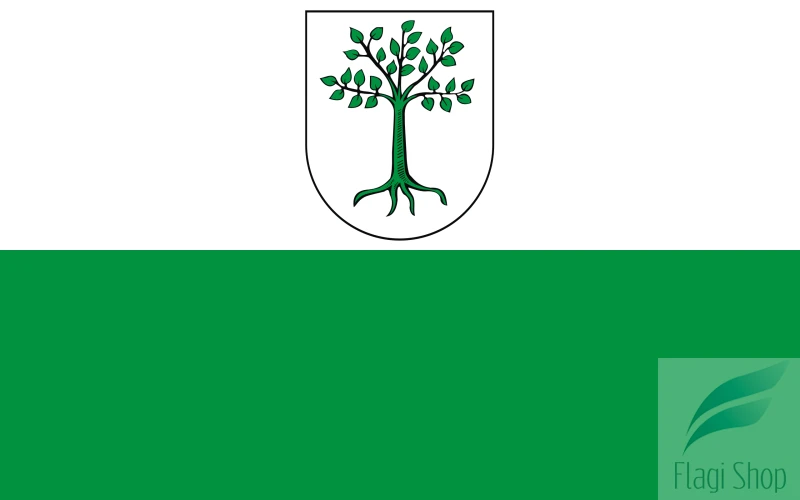 POL_Kruszwica_flag.svg.png