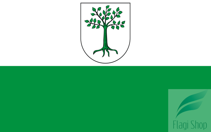 POL_Kruszwica_flag.svg.png