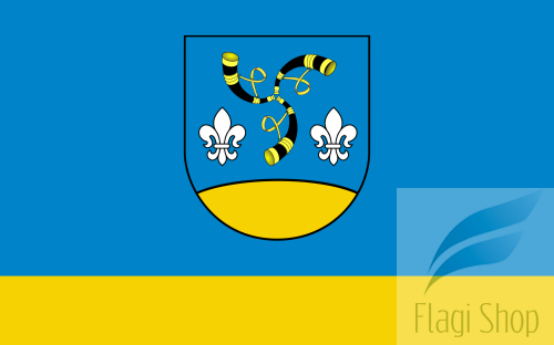 POL_gmina_Nieborów_flag.svg.png
