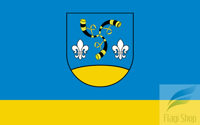 POL_gmina_Nieborów_flag.svg.png