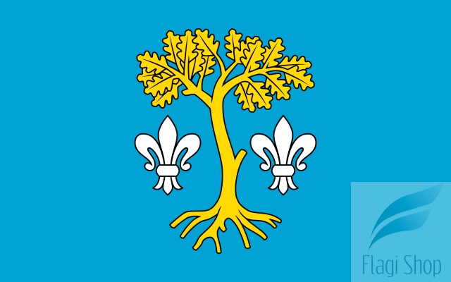 POL_gmina_Dębowiec_flag.svg.png
