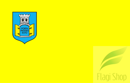 POL_Gołańcz_flag.svg.png