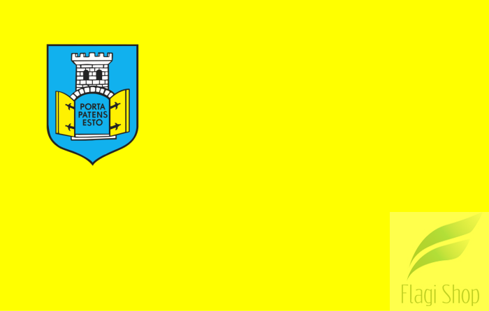 POL_Gołańcz_flag.svg.png