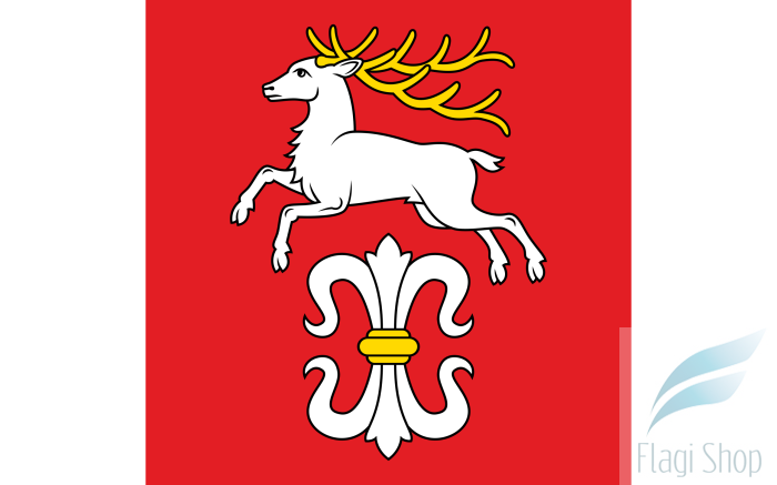 POL_gmina_Bukowsko_flag.svg.png