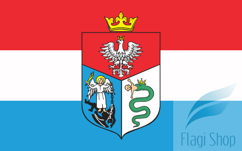 POL_Sanok_flag.svg.png