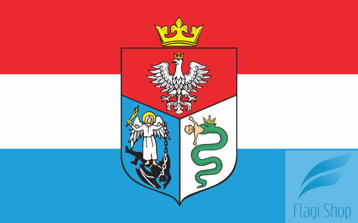 POL_Sanok_flag.svg.png