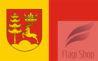 POL_gmina_Budzów_flag.png