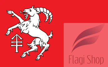 Flag_of_Kozłów_rural_district.gif