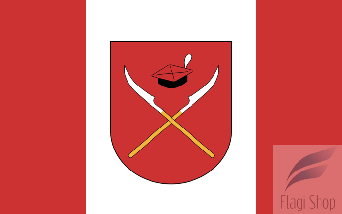 POL_gmina_Racławice_flag.png