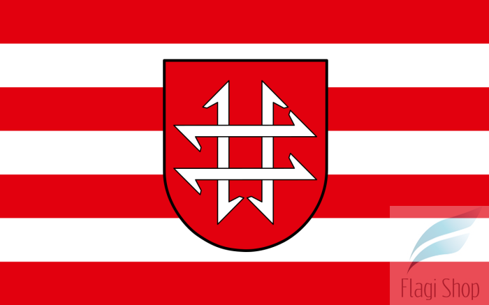 POL_Kamionka_flag.svg.png
