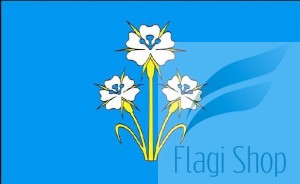 POL_gmina_Kąkolewnica_flag.JPG