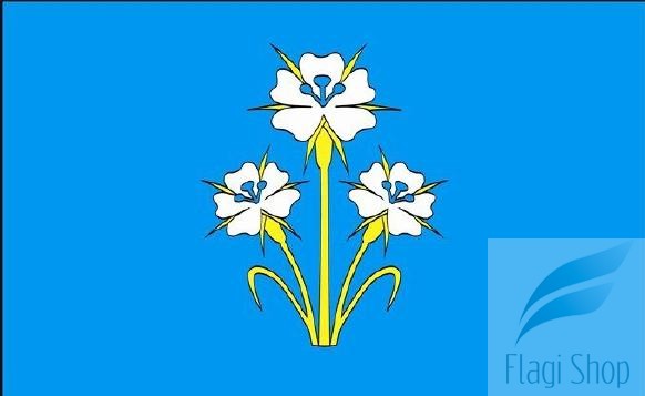 POL_gmina_Kąkolewnica_flag.JPG