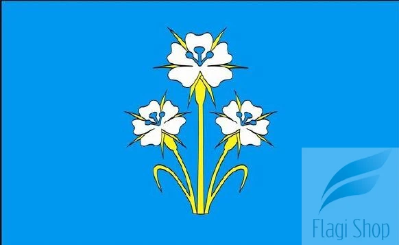 POL_gmina_Kąkolewnica_flag.JPG