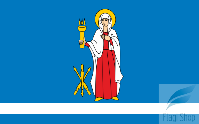 POL_Janów_Lubelski_flag.svg.png
