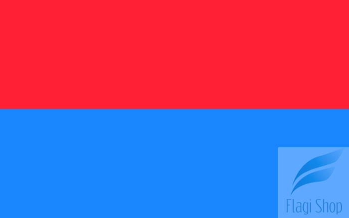 POL_Lubartów_flag.svg.png