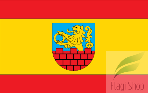 POL_Łaszczów_flag.png