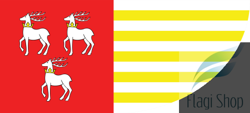 Łuków_County_Flag.svg.png