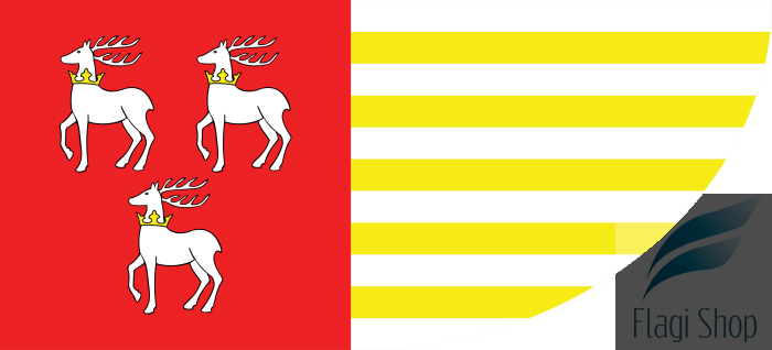 Łuków_County_Flag.svg.png